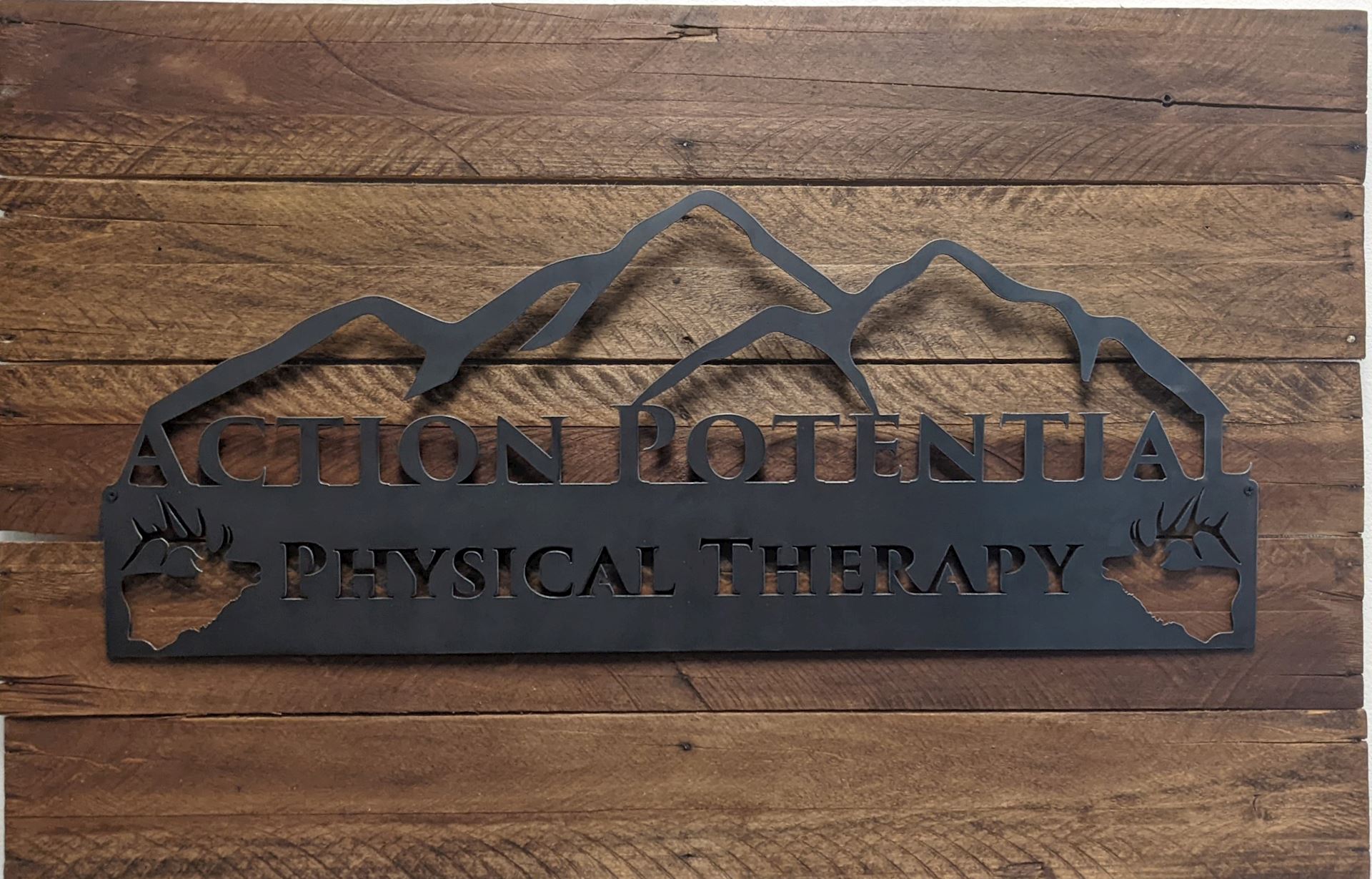 Action Potential - Fillmore